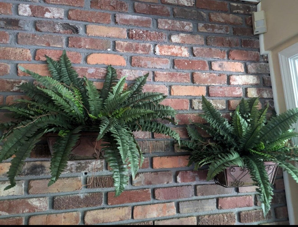 48" Boston Fern Artificial Bush Plant Pack 2